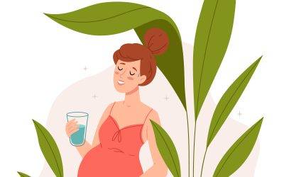 Diététique et grossesse : quels besoins nutritionnels pour la future maman ?